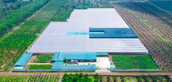 18-180047_974.jpg Trung tâm Nghiên cứu và Sản xuất giống cây trồng công nghệ cao của TC Group. Ảnh: Quang Yên.