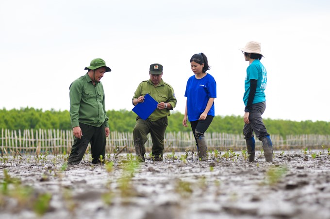 The Net Zero Vinamilk Forest in Mui Ca Mau National Park has miraculously regenerated.