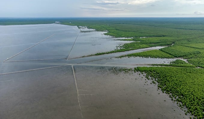 Net Zero Vinamilk Forest is deployed with the goal of building a 'sink' with a capacity of 17,000–20,000 tons of carbon.