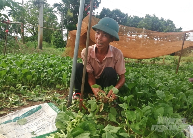 song-day-tu-tho-mong-bien-thanh-dong-song-chet-144222_745-144223.jpg Theo ông Xuân, hơn 10 năm nay các hộ trồng rau ở Tiền Lệ (Tiền Yên) không dám sử dụng nước sông Đáy cho tưới tiêu vì quá ô nhiễm. Ảnh: Trung Quân.