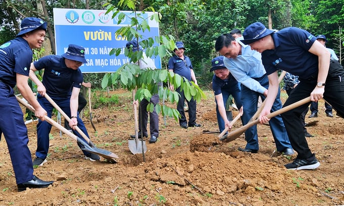 Thứ trưởng Nguyễn Quốc Trị cùng cán bộ, công nhân viên ngành lâm nghiệp trồng cây tại khuôn viên Trường Đại học Lâm nghiệp. Ảnh: Bảo Thắng.