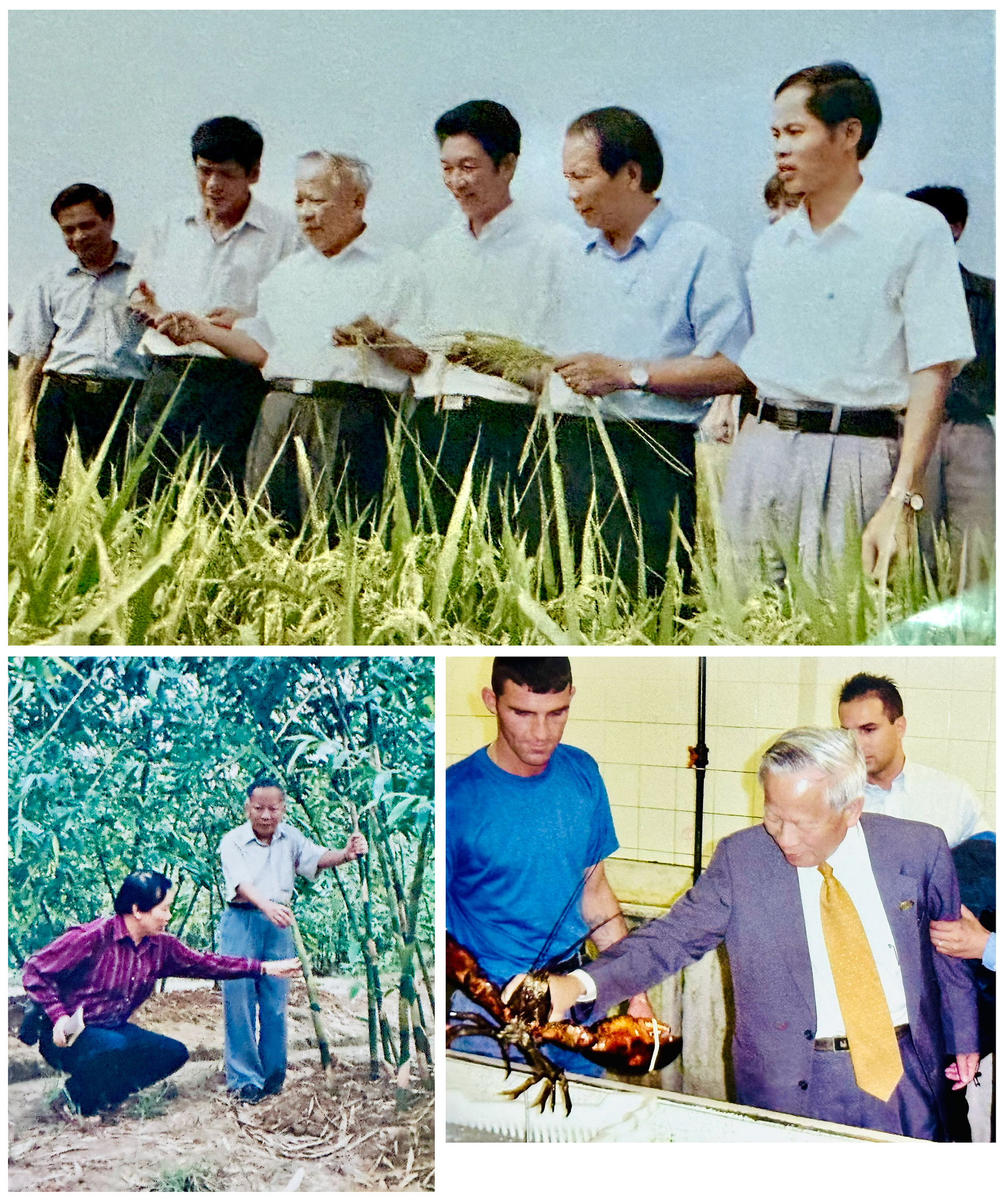 nho-ong-nguyen-cong-tan-nha-truyen-thong-xuat-sac-172431_116.jpg