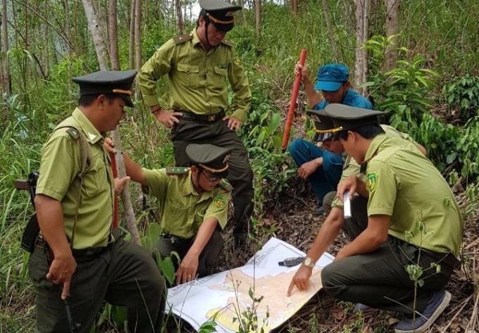 Thời gian qua, Kiểm lâm Phú Yên nỗ lực và phát triển rừng. Ảnh: KS.
