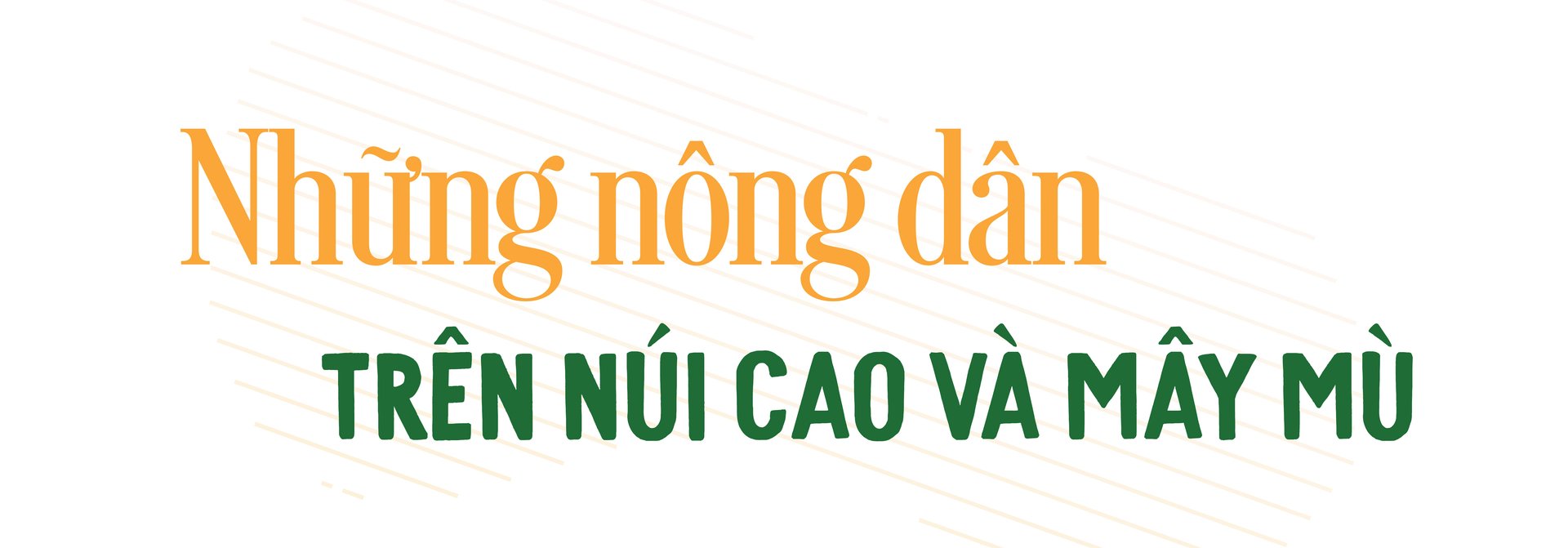 ve-voi-ruong-dong-054812_285.jpg