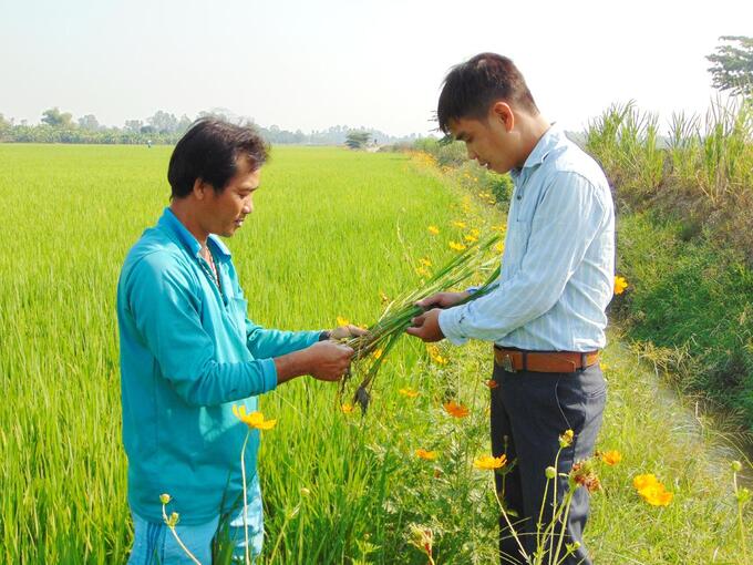 ipm-het-suc-y-nghia-va-mang-lai-rat-nhieu-loi-ich-1650_20200625_427-171150.jpeg Để tạo hiệu ứng tốt cho các chương trình, đề án lớn của ngành BVTV phục vụ chiến lược tăng trưởng xanh của ngành nông nghiệp, rất cần sự vào cuộc, chung tay của các cơ quan báo chí, truyền thông. Ảnh: LHV.