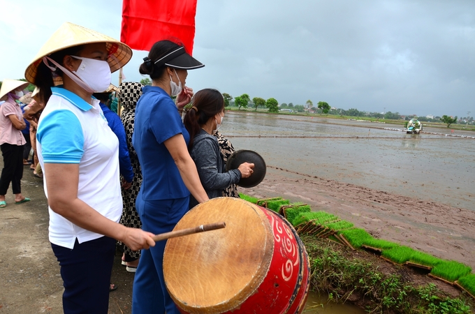 dsc_9109-165031_22.jpg Đánh trống cổ vũ cho đội nhà. Ảnh: Dương Đình Tường.