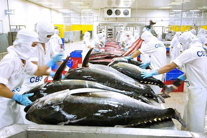 The fisheries industry will gain great advantages when the United Kingdom joins CPTPP.