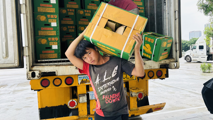 Mặt hàng sầu riêng được thị trường Trung Quốc rất ưa chuộng. Ảnh: H.D.