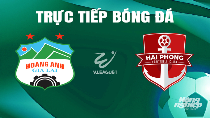 Trực tiếp bóng đá V-League 2023/24 giữa HAGL vs Hải Phòng hôm nay 30/6/2024