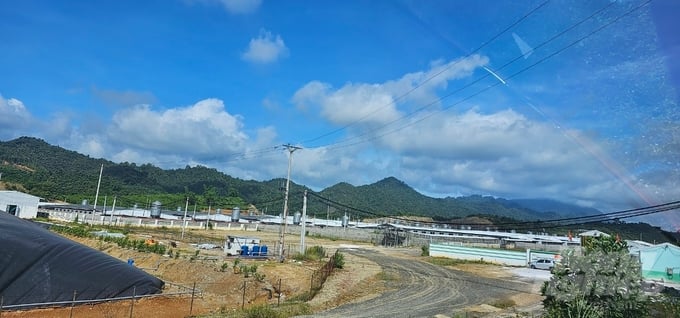 Khu vực chăn nuôi của Công ty Agri-Vina. Ảnh: Quốc Toản.