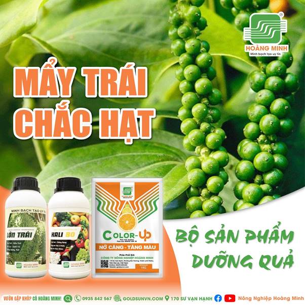 image021-073547_431.jpg Bộ sản phẩm dưỡng quả giúp mẩy trái, chắc hạt.
