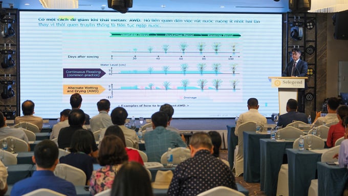 Hội thảo quốc tế 'Giảm phát thải khí metan trong canh tác lúa sử dụng vệ tinh dựa trên AI và tham vấn Gold Standard tại Đồng bằng sông Hồng' ngày 3/7. Ảnh: Quỳnh Chi.