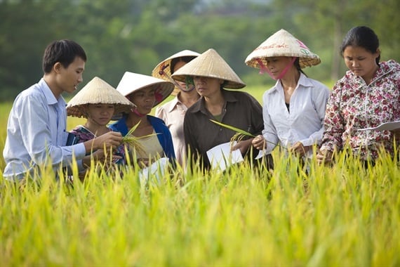 nguoi-dan-yen-tam-hon-1-224423_242.jpeg Số tiền bảo hiểm chi trả cho lĩnh vực tam nông khoảng 800 tỷ đồng năm 2022, giúp hàng triệu nông dân không bị chuyển sang nợ xấu hoặc phát mãi tài sản.
