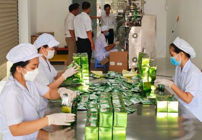 xao-tam-phan-7-110244_64.jpg Công ty Cổ phần Sản xuất Thương mại Dịch vụ PomGroup chế biến xáo tam phân thành nhiều sản phẩm có giá trị cao. Ảnh: KS.