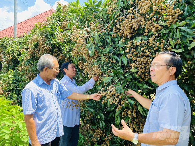 Hiện nay huyện Châu Thành có 100% xã (11/11 xã) đạt chuẩn nông thôn mới, trong đó có 3/11 xã (Tân Nhuận Đông, An Nhơn, Tân Bình) đạt chuẩn nông thôn mới nâng cao. Ảnh: Lê Hoàng Vũ.