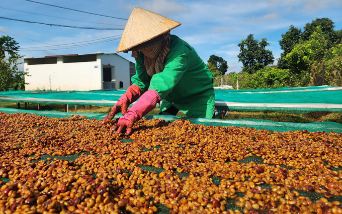 z5601347946674_da232a3c23502971f43ea698a348ac0a-153759_470.jpg Ngành nông nghiệp Đắk Lắk đối mặt nhiều thách thức. Ảnh: Quang Yên.