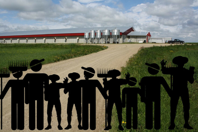 The Canadian government recently reduced the maximum number of temporary foreign workers in the meat processing and livestock farming sectors from 30% to 20%. Photo: Vincent ter Beek