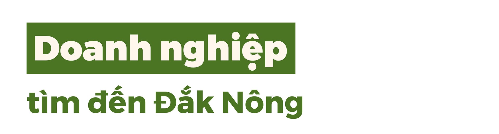 doanh-nghiep-gop-phan-dua-nong-nghiep-dak-nong-phat-trien-074845_233.jpg