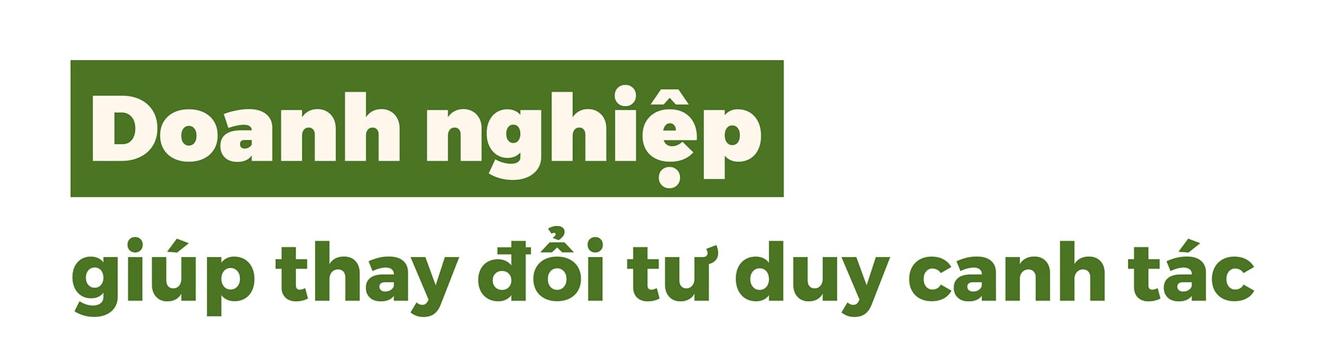 doanh-nghiep-gop-phan-dua-nong-nghiep-dak-nong-phat-trien-074910_181.jpg