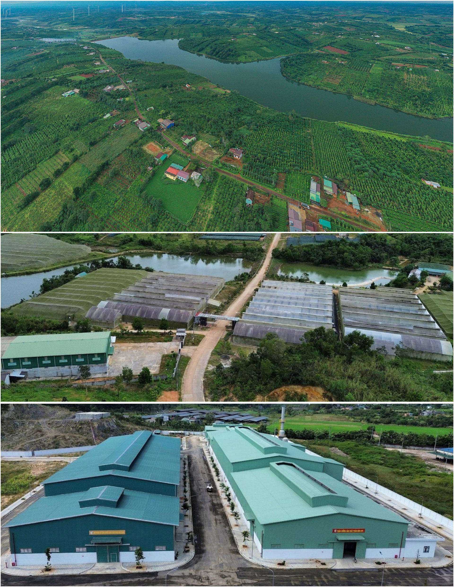 doanh-nghiep-gop-phan-dua-nong-nghiep-dak-nong-phat-trien-075135_320.jpg