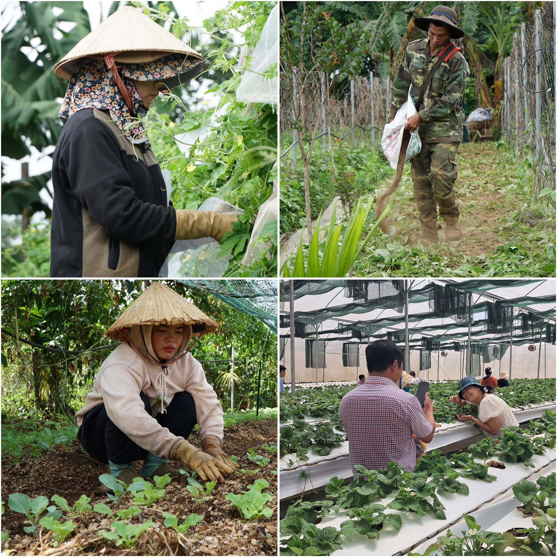 doanh-nghiep-gop-phan-dua-nong-nghiep-dak-nong-phat-trien-075205_103.jpg
