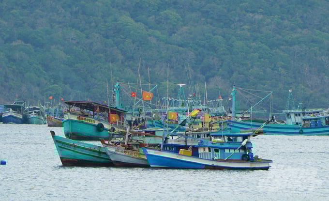 dsc03994-160849_78-160850.jpg Ngày càng nhiều tàu cá tại Bà Rịa - Vũng Tàu ứng dụng công nghệ cao để tiết kiệm nguyên liệu, nhân công và giảm bớt chi phí. Ảnh: Lê Bình.