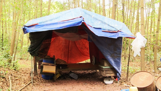 Temporary camps, the here-and-now life of nomadic beekeepers. Photo: Nguyen Hoan.