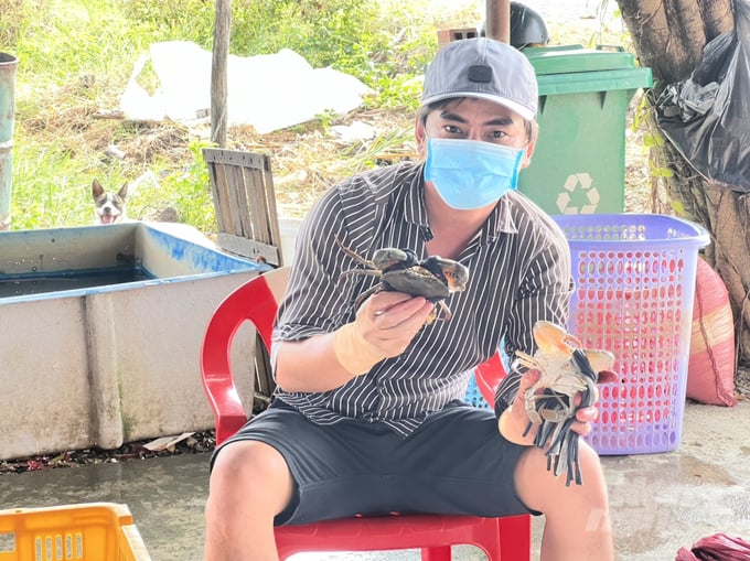 z3379538838861_da1aab9ea5aac1db8ef294510b0cf456-170910_103-170911.jpg Cua nuôi được thương lái thu mua với giá cao. Ảnh: Trọng Linh.