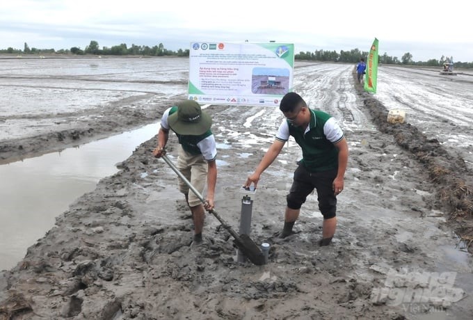 Water level sensors are installed in fields participating in the 1 million hectares of high-quality rice project of Phu Hoa Youth Cooperative. Photo: Trung Chanh.
