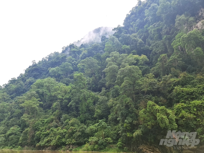 20240516_115504-100546_437-100547.jpg Tỉnh Hà Giang có hơn 457.000 ha rừng được chi trả dịch vụ môi trường rừng với tổng số tiền được chi trả là hơn 106,5 tỷ đồng. Ảnh: Đào Thanh.