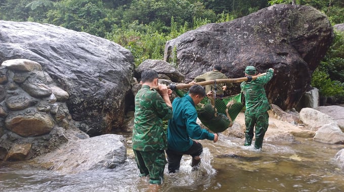 Cán bộ, chiến sĩ biên phòng luân phiên khiêng nạn nhân ra khỏi rừng. Ảnh: H.T.