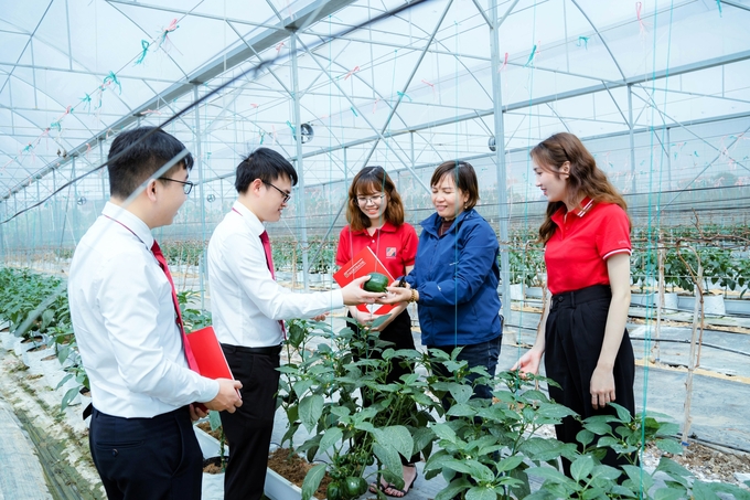 anh-5-72-agribank-chi-nhanh-huyen-gia-binh-bac-ninh-170838_381.jpg Thông qua các cơ chế về hỗ trợ lãi suất, phí, tín dụng ưu đãi.