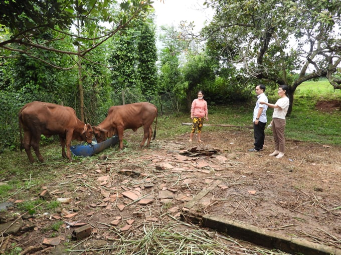 dscn6756-1453_20220916_831-145714-094404_891.jpeg Các đối tượng yếu thế không bị bỏ lại phía sau nhờ hiệu quả từ tín dụng chính sách. Ảnh: Trần Trung.