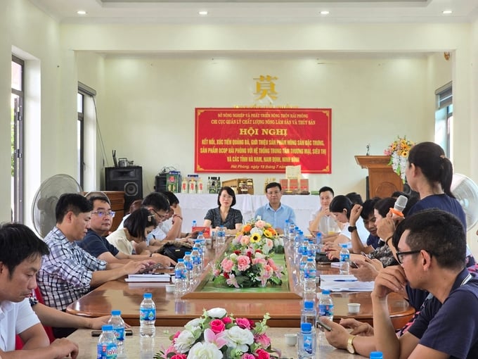 ket-noi-tieu-thu-nong-san-15-103508_473.jpg Ông Nguyễn Ngọc Tuất - Phó Giám đốc Sở NN-PTNT Hải Phòng (giữa) tham dự và đồng chủ trì hội nghị. Ảnh: Đinh Mười.