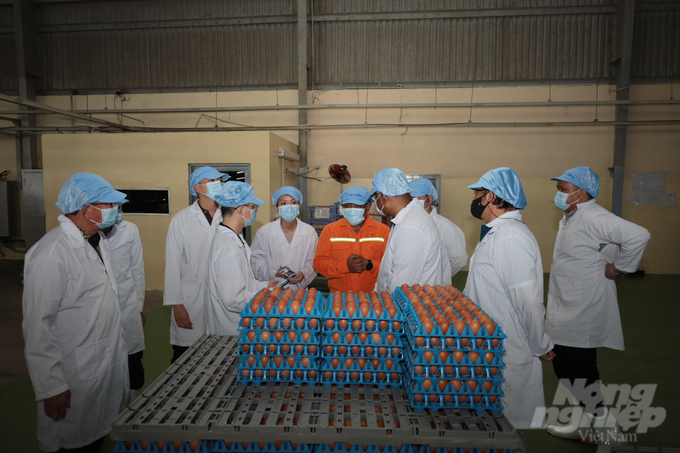 Ngành chăn nuôi nói riêng, nông nghiệp nói chung là điểm sáng thu hút đầu tư. Ảnh: Trần Trung.