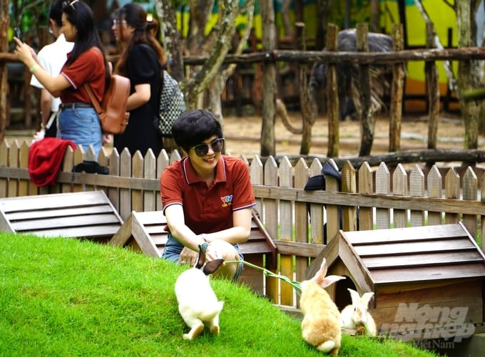 kham-pha-vuon-thu-eco-safari-hap-dan-trong-nhung-ngay-he-123304_373-123305.jpg Vườn thú nhận được sự đánh giá, trải nghiệm tích cực của du khách, bởi sự gần gũi, thân thiện với môi trường thiên nhiên. Ảnh: Kim Anh.