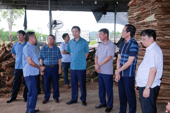 g-175208_655.jpg Ông Lê Đức Giang cùng đoàn công tác thị sát các cơ sở thu mua, chế biễn gỗ keo tự phát. Ảnh: CTV.