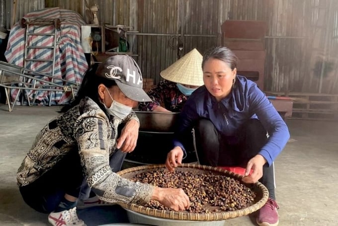 ba-con-nong-dan-xa-nghia-loc-phan-loai-qua-so-sau-khi-thu-hoach-anh-minh-thai-155628_299.jpg Bà con xã Nghĩa Lộc phân loại quả sở sau khi thu hoạch. Ảnh: Minh Thái.