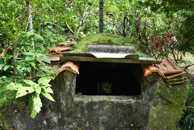 dsc_9930-103351_358.jpg