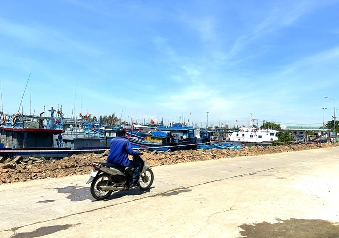 2-154516_501.jpg Đã được phê duyệt từ năm 2022 nhưng đến nay, dự án nâng cấp, mở rộng khu neo đậu tránh trú bão kết hợp cảng cá Tịnh Hòa vẫn chưa thể triển khai do vướng mặt bằng. Ảnh: L.K.