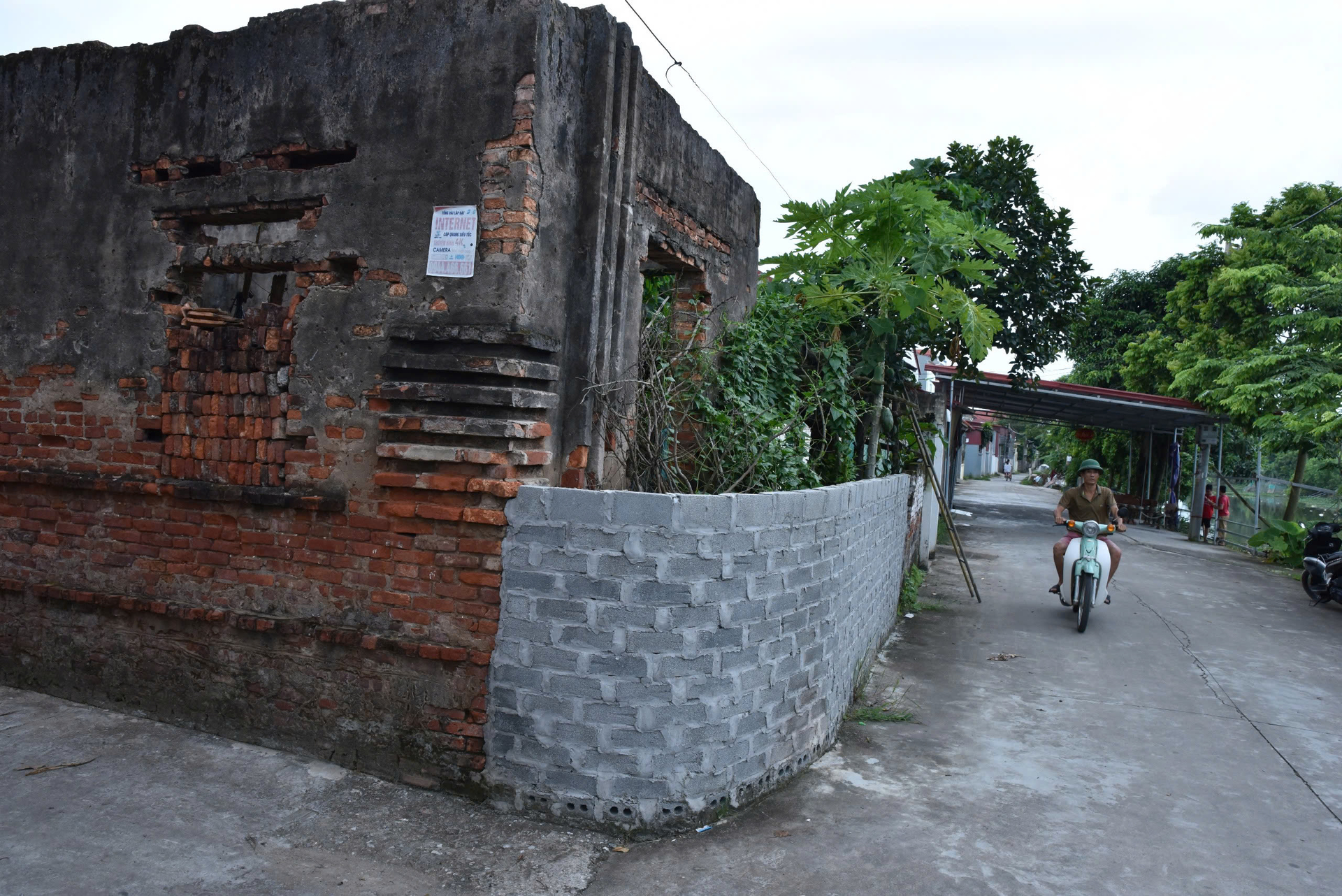lang-que-thoi-hoang-vang-bai-6-tren-canh-dong-lua-va-tren-canh-dong-chu-080804_186.jpg