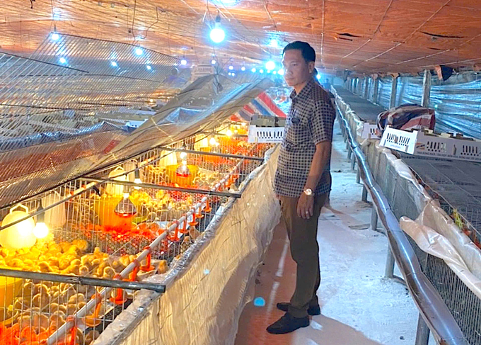 4ed5f8444a6bee35b77a39-091531_979.jpg Thông qua lai tạo chọn lọc, người chăn nuôi có thể cải thiện các đặc điểm di truyền của vật nuôi và tăng năng suất của chúng. Ảnh: Minh Đảm.