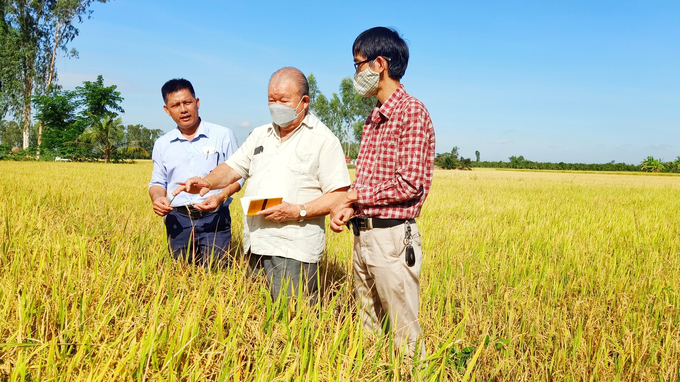 Giáo sư Võ Tòng Xuân trong một lần hướng dẫn cán bộ khuyến nông địa phương ứng dụng vi sinh xử lý rơm rạ trên đồng ruộng tại tỉnh An Giang vào năm 2022. Ảnh: Kim Anh.