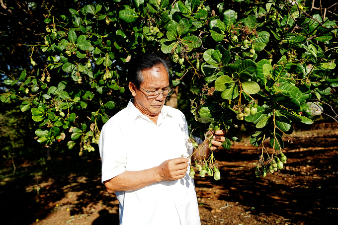 01-180449_462.jpg Ông Trần Văn Tấn. Ảnh: Hồng Thủy.