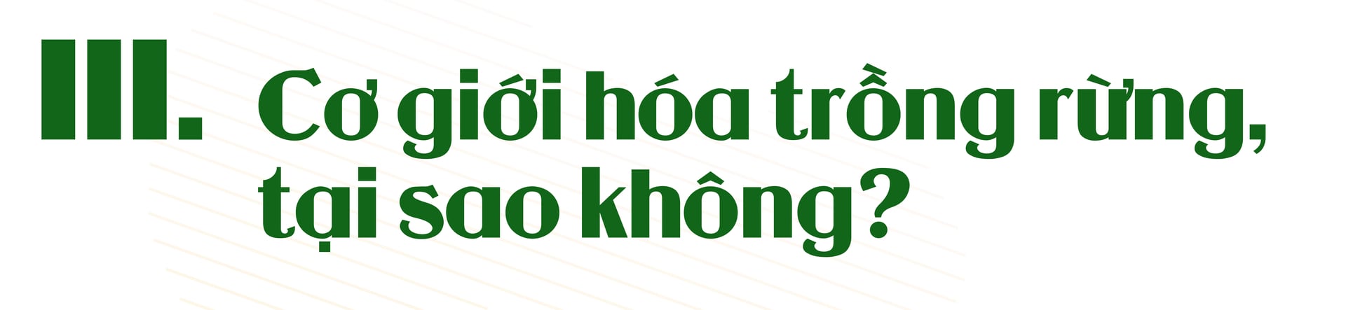 tran-tro-voi-rung-go-lon-035154_136.jpg