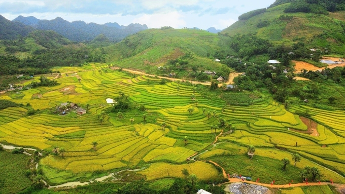 banten1_638324601621318884-111628_237.jpg Từ 1/1/2020 đến ngày 1/6/2024, đã có gần 500 hồ sơ, trường hợp xin đăng ký chuyển mục đích sử dụng đất trên địa bàn huyện Đồng Hỷ đã được UBND tỉnh Thái Nguyên phê duyệt kế hoạch sử dụng. Ảnh: Ngọc Linh.