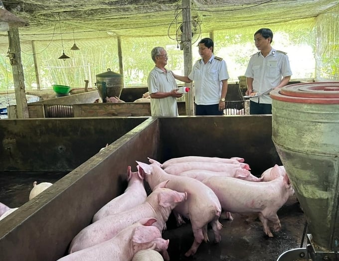 boctalk-mo-hinh-chan-nuoi-cong-nghe-cao-o-dbscl-khong-nhieu-141644_864.jpg Cả nước hiện có trên 90% số lượng trang trại chăn nuôi quy mô nhỏ và vừa. Ảnh: Kim Anh.
