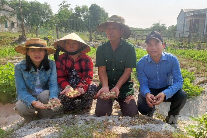 z5579113846616_691eb9d30c3c59424de62cd29836b607-222755_155-222756.jpg Trung tâm Khuyến nông Quảng Trị đã đồng hành cùng nông dân trồng ném theo hướng hữu cơ. Ảnh: Võ Dũng.