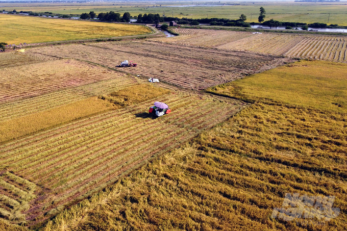 dji_0101-162442_31-162443.jpg Cùng với giống, cơ giới hóa trong nông nghiệp, áp dụng các tiến bộ kỹ thuật là yếu tố then chốt tạo nên vụ hè thu thắng lợi toàn diện tại Quảng Trị. Ảnh: Võ Dũng.