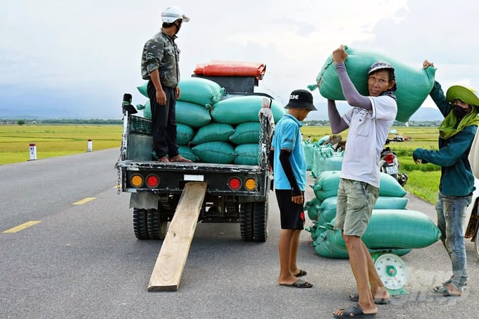 z5760285785984_78887ee8f69d243111f82ecca7a2a59c-162446_452-162446.jpg Nông dân Quảng Trị phấn khởi vì lúa hè thu được mùa, được giá. Ảnh: Võ Dũng.
